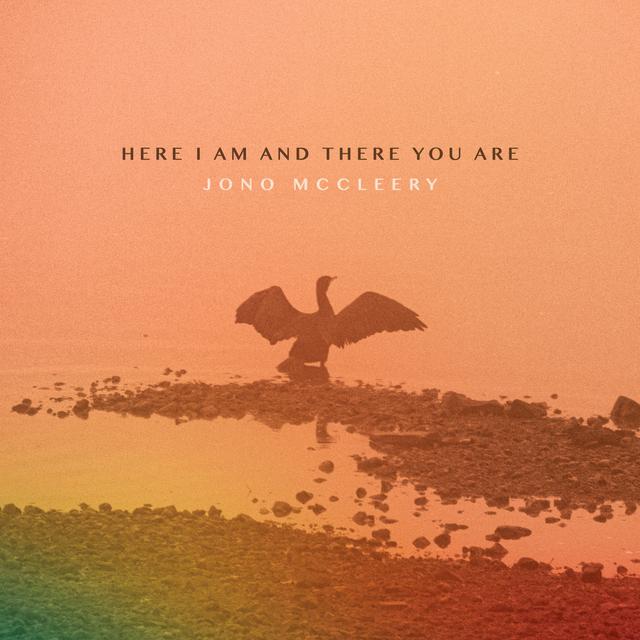 Album cover art for Here I Am and There You Are