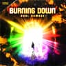 Burning down