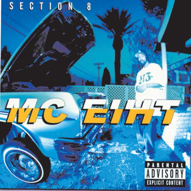 Album cover art for Section 8