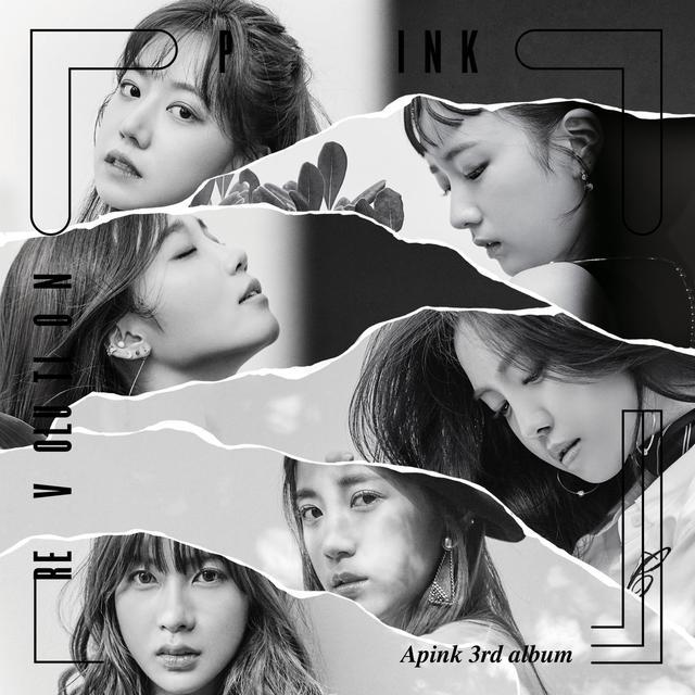 Album cover art for Pink Revolution