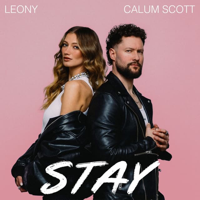 Album cover art for Stay