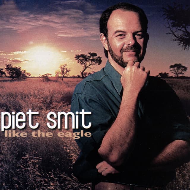 Album cover art for like the eagle