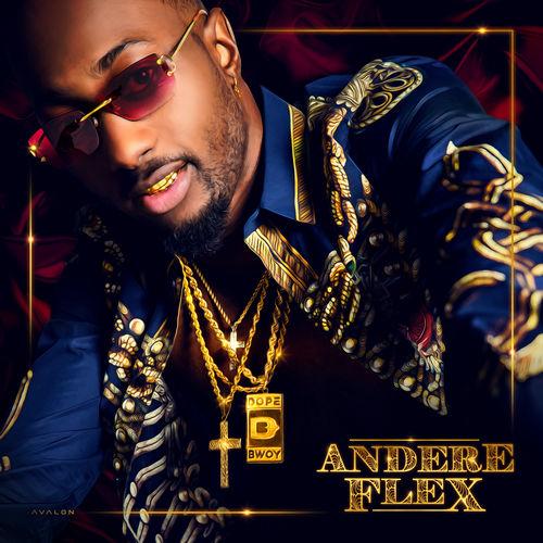 Album cover art for Andere Flex