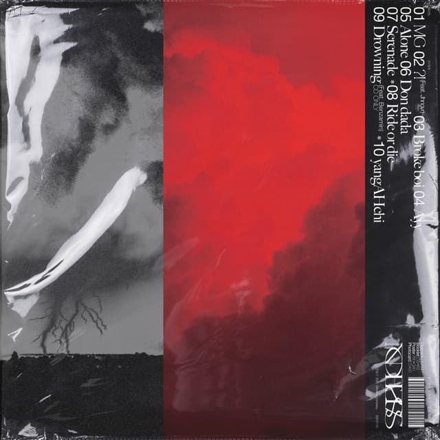 Album cover art for 21'S/S