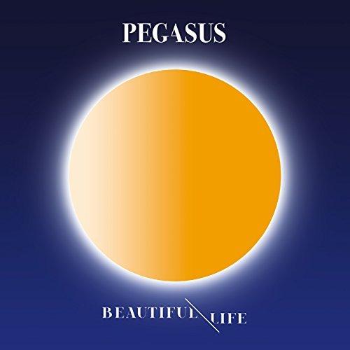 Album cover art for Beautiful Life