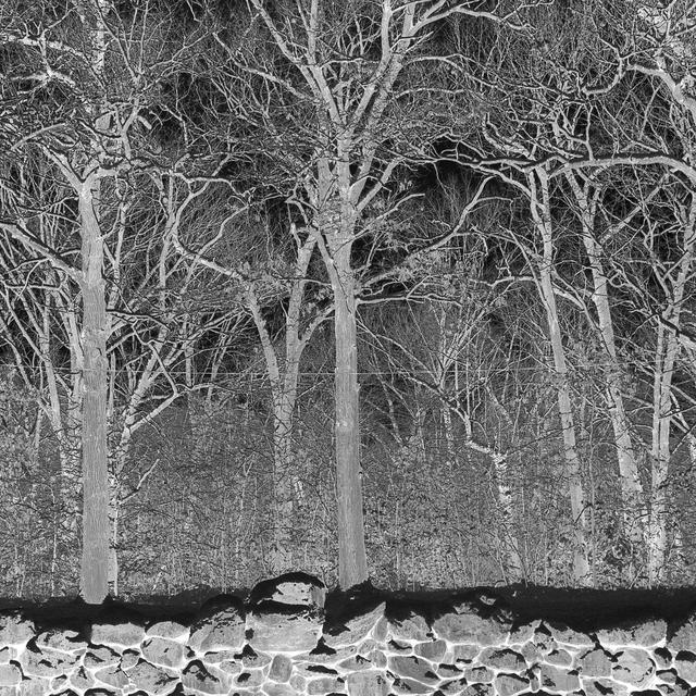 Album cover art for Sunshine and Balance Beams