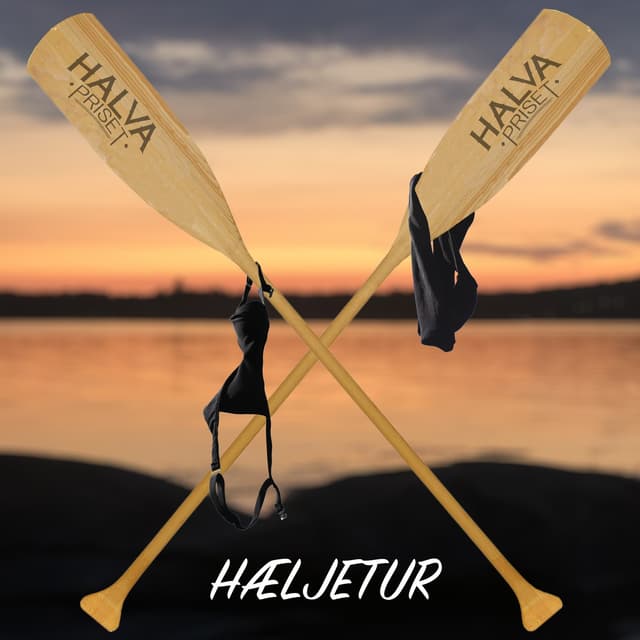 Album cover art for Hæljetur