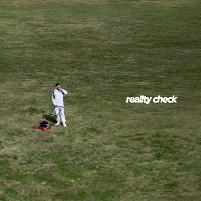 Album cover art for Reality Check