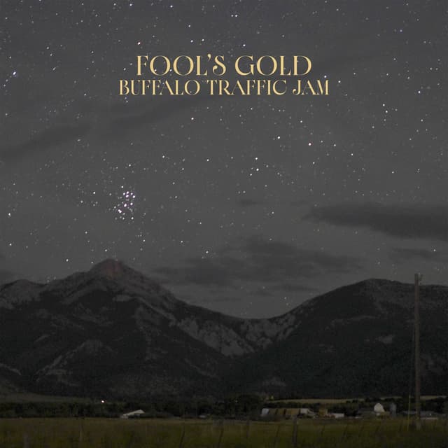 Album cover art for Fool's Gold