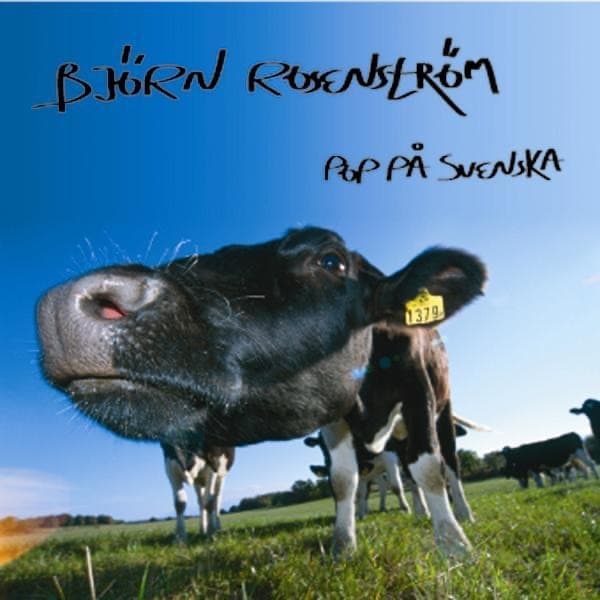 Album cover art for Pop På Svenska