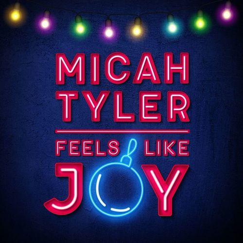 Album cover art for Feels Like Joy