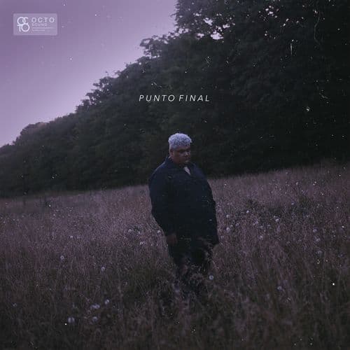 Album cover art for Punto Final