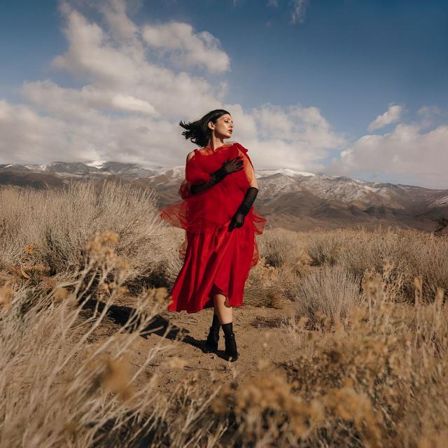 Album cover art for Gimmicks