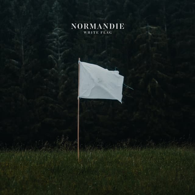 Album cover art for White Flag