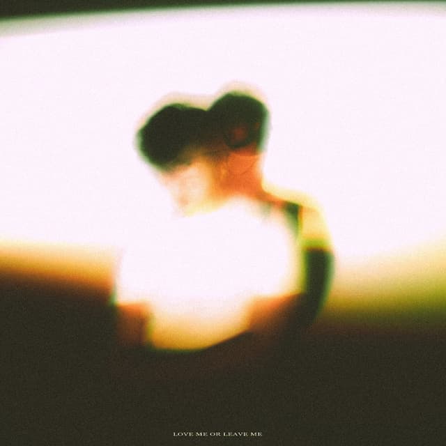 Album cover art for LOVE ME OR LEAVE ME