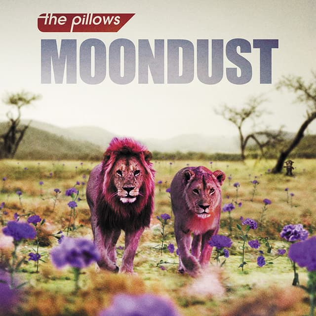 Album cover art for ムーンダスト