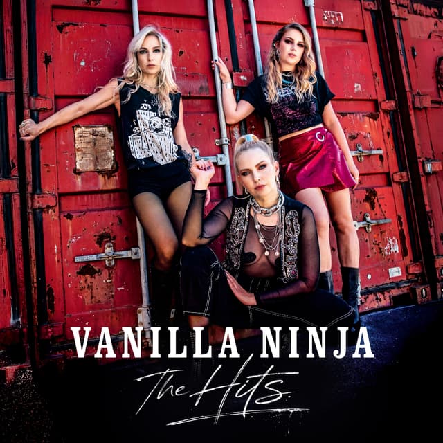 Album cover art for The Hits