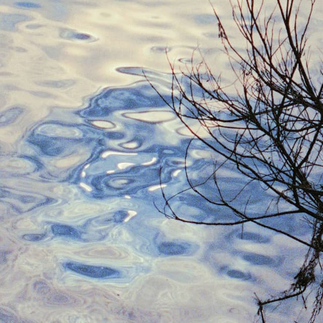 Album cover art for 이 밤을 닮아