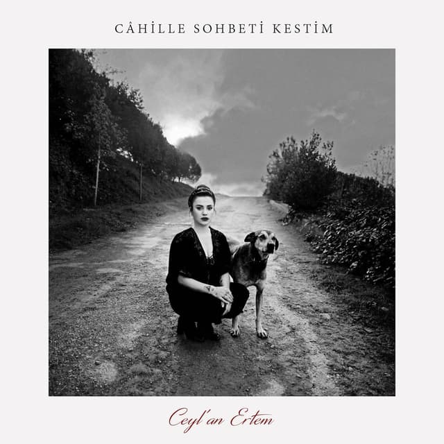 Album cover art for Câhille Sohbeti Kestim
