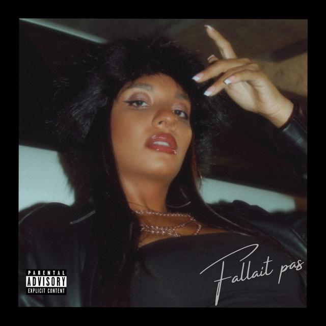 Album cover art for Fallait pas