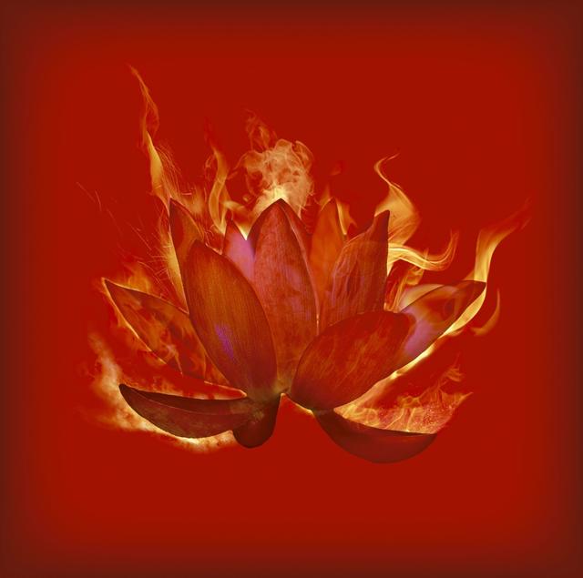 Album cover art for 紅蓮(「NARUTO-ナルト- 疾風伝」OP ver.) - Single