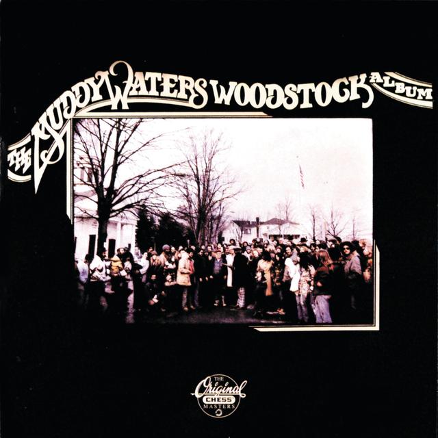 Album cover art for The Muddy Waters Woodstock Album