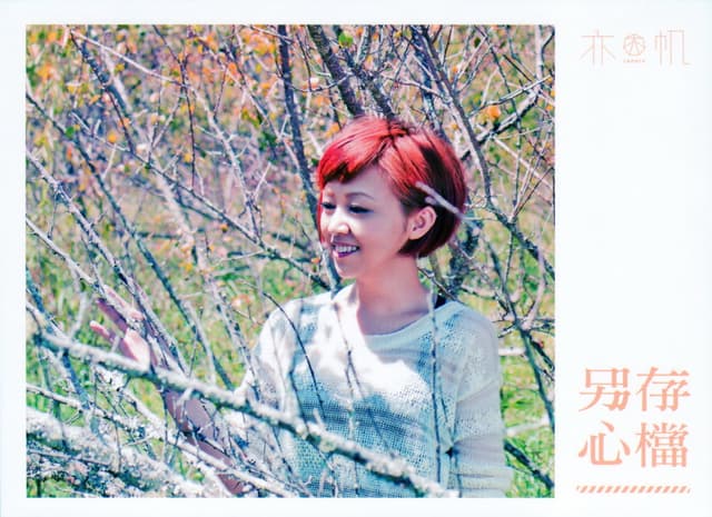 Album cover art for 另存心檔