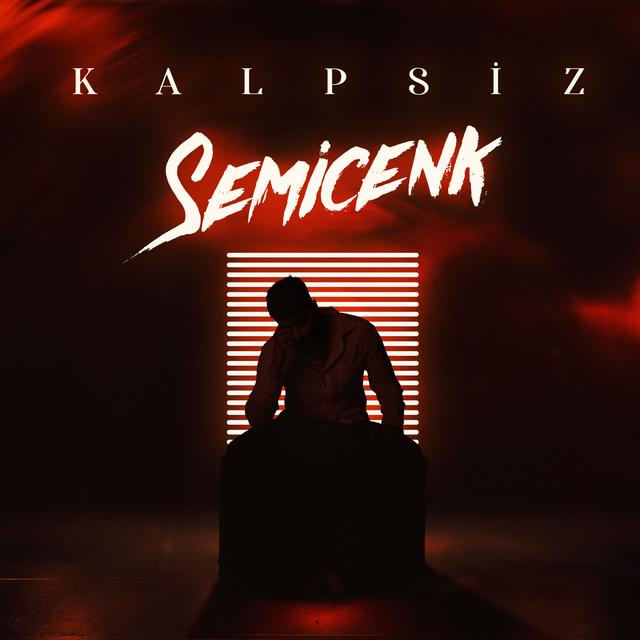 Album cover art for Kalpsiz