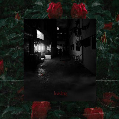 Album cover art for Leaving