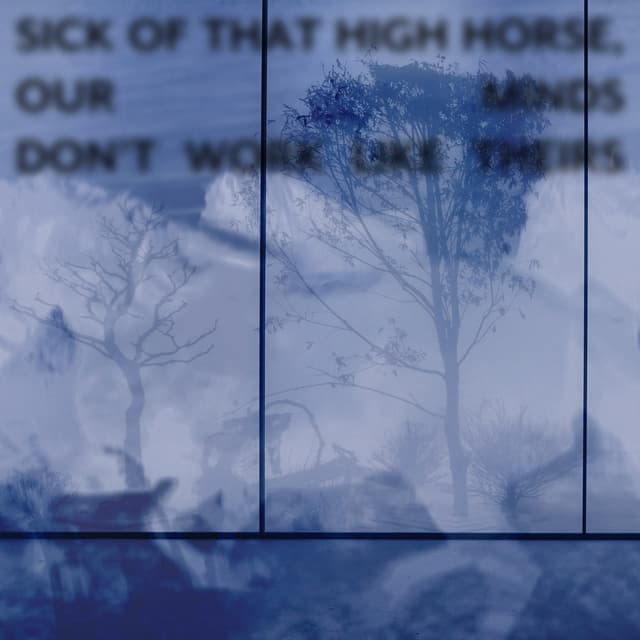 Album cover art for High Horse