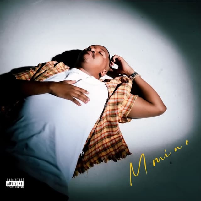 Album cover art for Bacardi Via Sgidongo