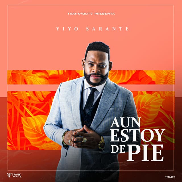 Album cover art for Aun Estoy De Pie