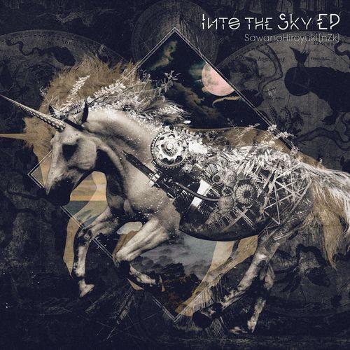 Album cover art for Into the Sky