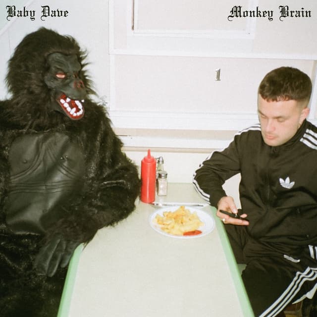 Album cover art for Monkey Brain