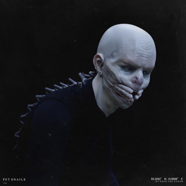 Album cover art for Squishy Caterpillars Riding on Bullets