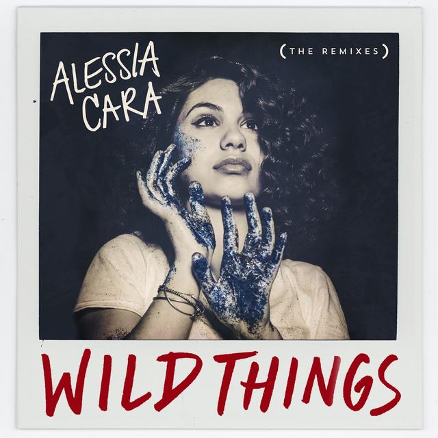 Album cover art for Wild Things (The Remixes)