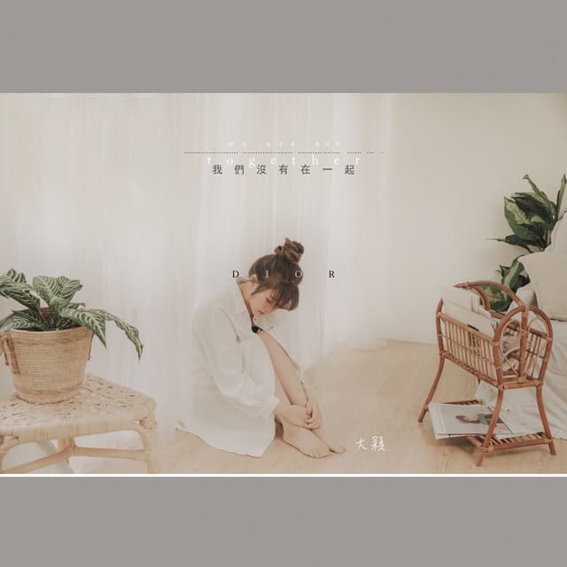 Album cover art for 我們沒有在一起