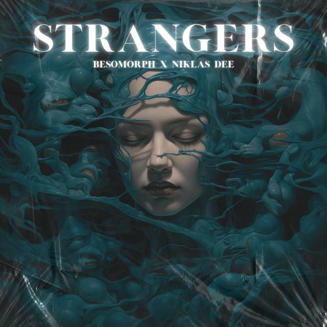 Album cover art for Strangers