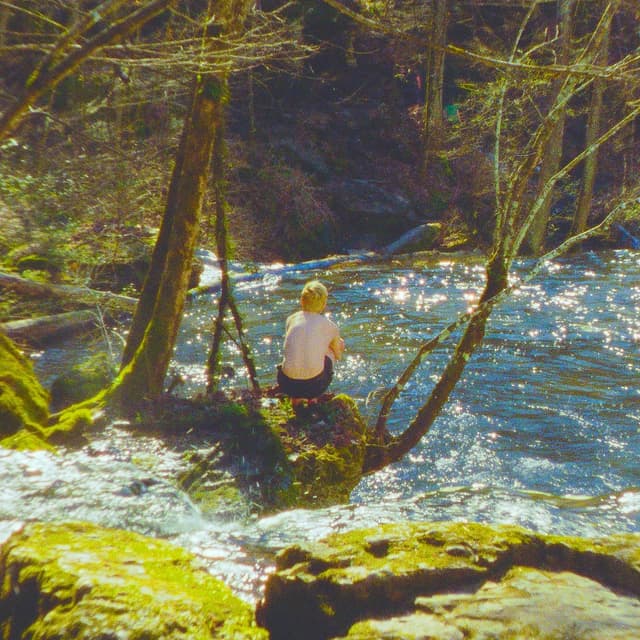 Album cover art for Looking for an Island