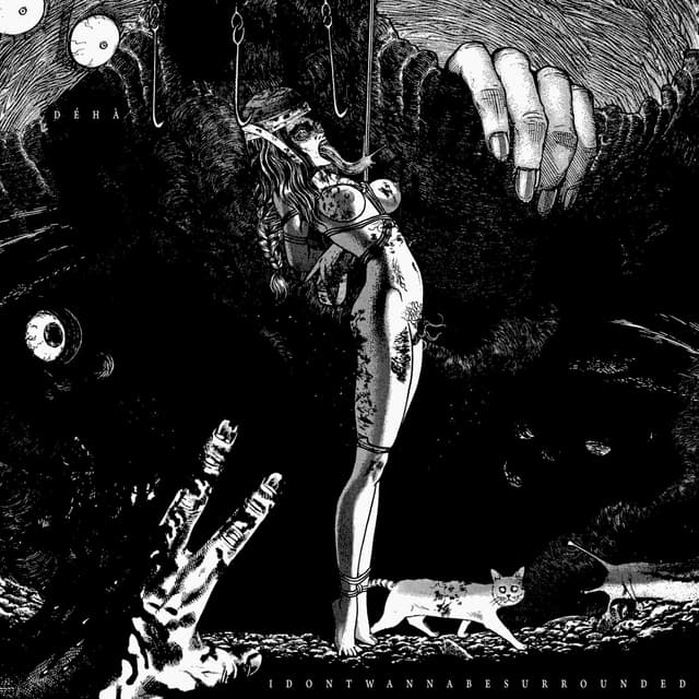 Album cover art for IDONTWANNABESURROUNDED