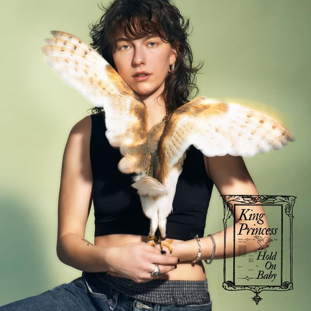 Album cover art for Hold On Baby