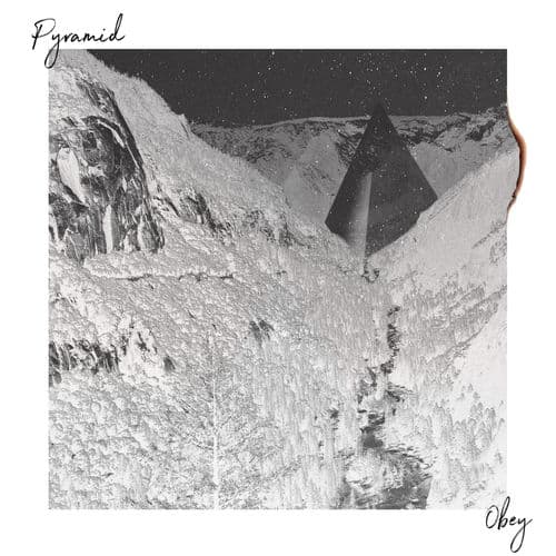 Album cover art for Obey