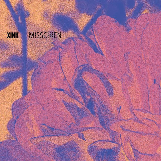 Album cover art for Misschien