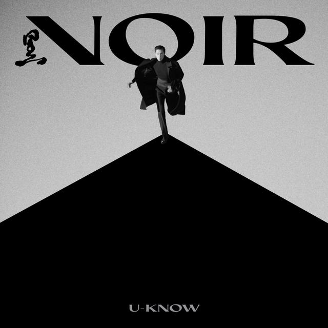 Album cover art for NOIR