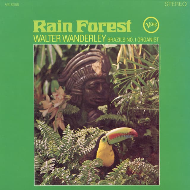 Album cover art for Rain Forest