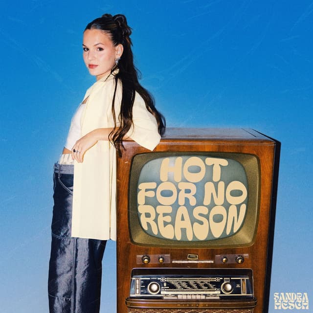 Album cover art for hot for no reason