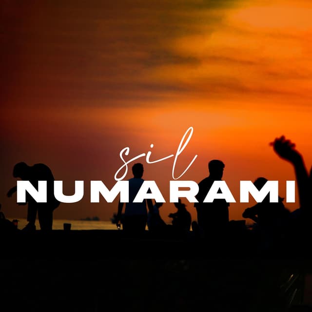 Album cover art for Sil Numaramı