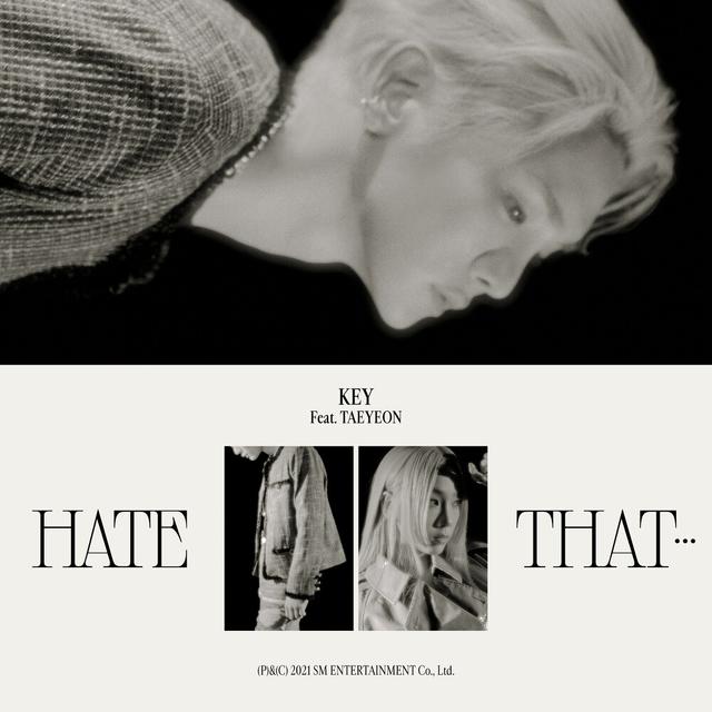 Album cover art for Hate that...