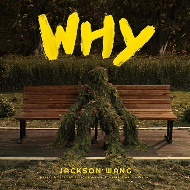 Album cover art for Why Why Why