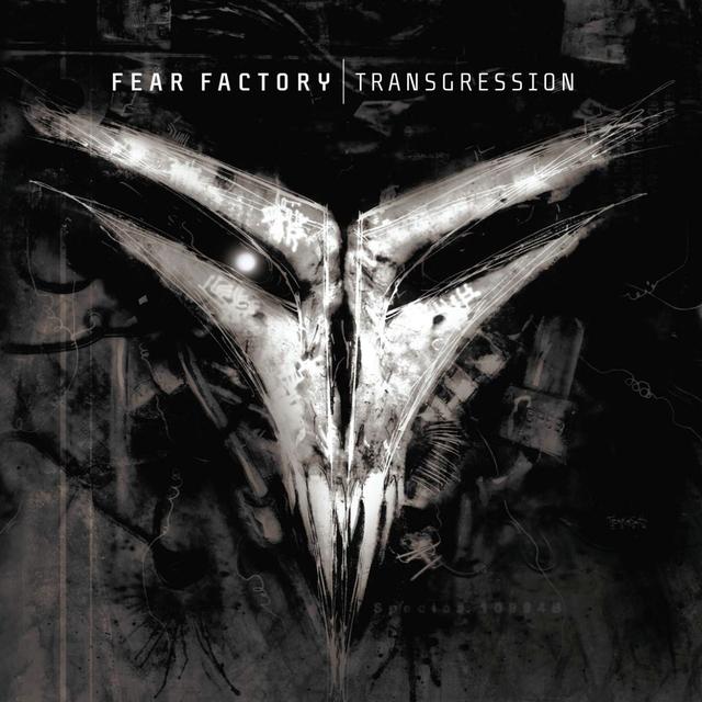 Album cover art for Transgression